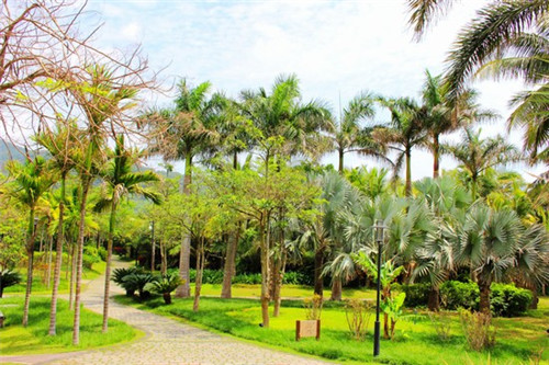 唇香煮语浇头麻辣拌