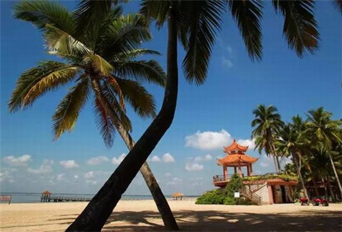 星鸡地炸鸡汉堡