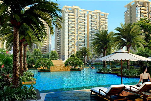 彭大锤煎饼果子