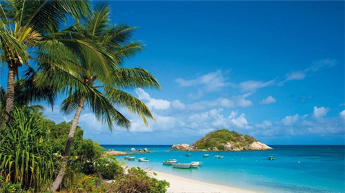 澳美徕澳门花胶鸡