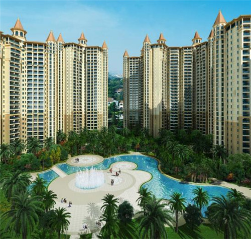 味管家玛咖鸡黄饭