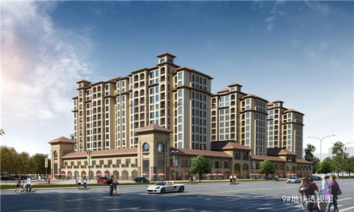菊花茶哪个品牌好