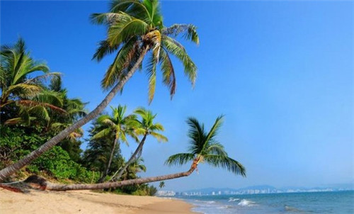 书架音箱品牌排名