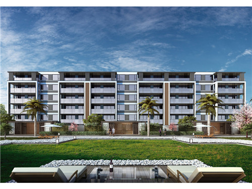 夹毛球玩具品牌排行（夹毛球教案）