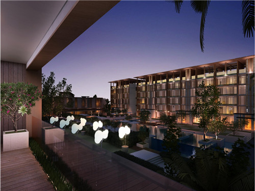 鸡翅尖炒酱油怎么炒（酱鸡翅尖图片）